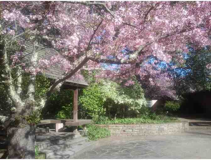 Quarryhill Botanical Garden Director's Tour & Weekend Stay