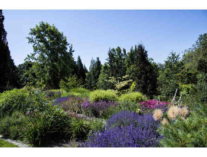 Bellevue Botanical Garden Tour and Lunch