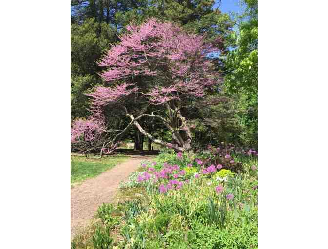 A Connecticut Gem: Bartlett Arboretum & Gardens
