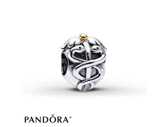 Pandora Bracelet with Life Saver Charm
