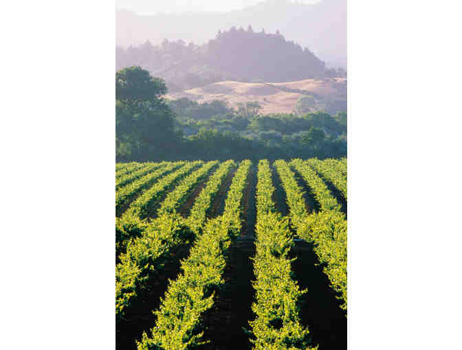 The Ultimate Wine Country Oasis - Photo 4