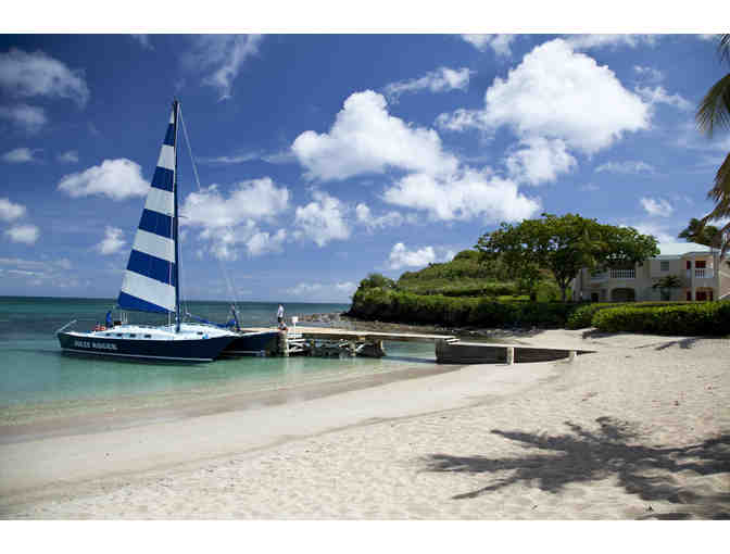 Natural Playground in the U.S. Virgin Islands - Family travel!