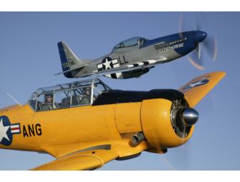 Fly P-51 Mustang and T-6 Texan trainer