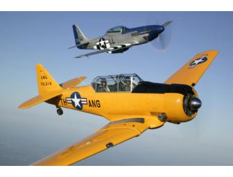 Fly P-51 Mustang and T-6 Texan trainer