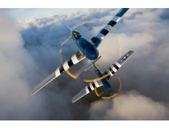Fly P-51 Mustang and T-6 Texan trainer