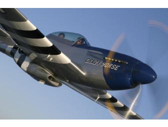 Fly P-51 Mustang and T-6 Texan trainer