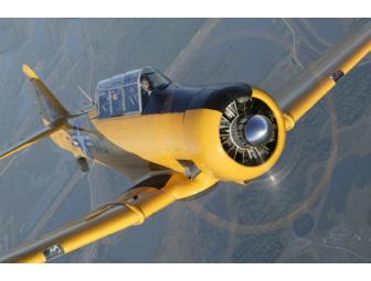 Fly P-51 Mustang and T-6 Texan trainer