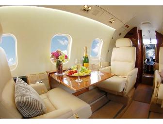 Private jet charter flight