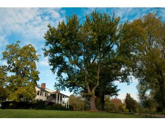 One night stay at Clifton Resort - Charlottesvile, VA