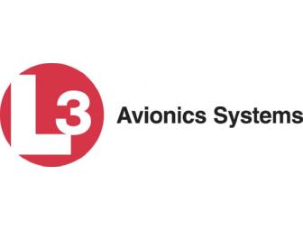 Two Zulu ANR Headsets and a Leather Flight Bag