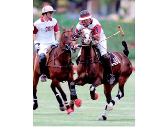 Lunch and Polo at Santa Barbara Polo & Racquet Club
