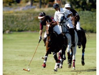 Lunch and Polo at Santa Barbara Polo & Racquet Club