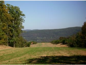 Fabulous 3-Acre 'Live-With-Your-Plane' Lot at Ozark Skies Airpark