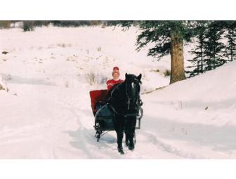 New England Weekend - Sleigh/Surrey Ride and Helicopter Tour