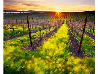 AOPA Wine Club's Flying Winemakers