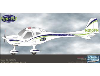 Custom Paint Scheme Design Service