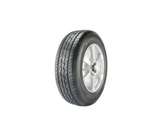 Dunlop Passenger or light truck tires