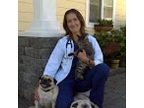 Island Veterinary Clinic Services