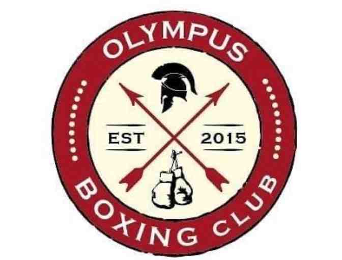5 Private Boxing Lessons with Pro Boxer Angelo Habib - Olympus Boxing Gym - Photo 1