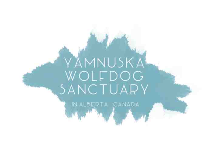 2 Passes for an Intro Tour at Yamnuska Wolfdog Sanctuary - Photo 1