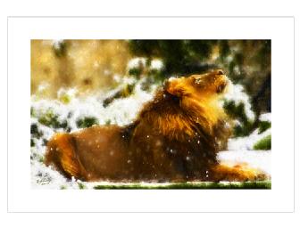 LION IN WINTER by featured UK artist Rebel Wolf!