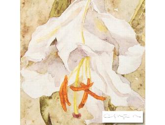 Lily Study I by Carol Matyia-Ross
