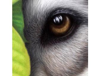 SILENT WITNESS by Tracie Koziura