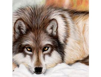 WINTER WATCH by Tracie Koziura