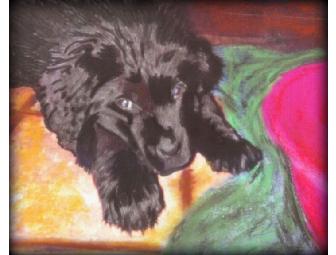 NEW!!!! Get YOUR VERY OWN FAVORITE PET PORTRAIT here!!! 30x40' on Pre-stretched Canvas!!