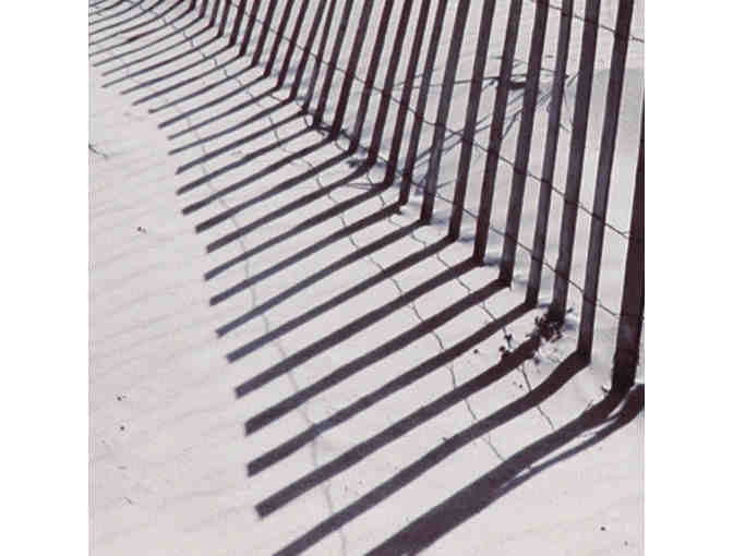 'The Fence' by Saulius Kondrotas