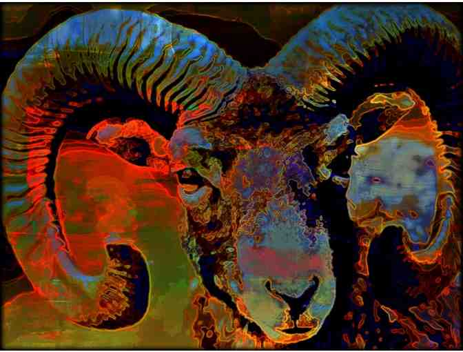 ! 2 SIDED ART DELUXE CUSHION CASE(S) +A3 GICLEE PRINT!: 'ARIES' BY WBK