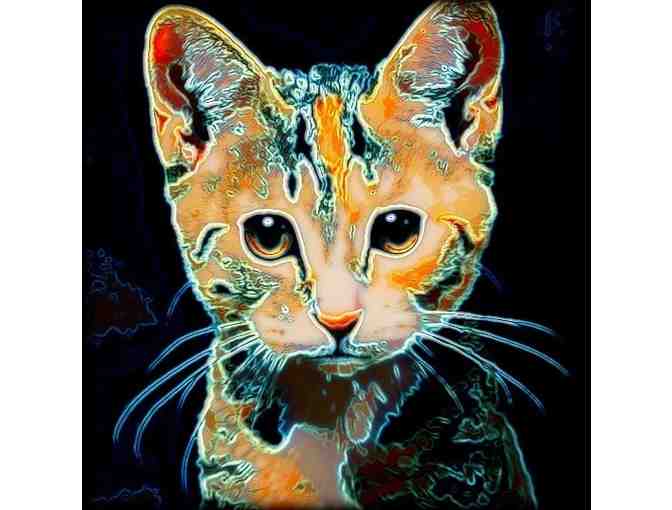 ! 2 SIDED ART DELUXE CUSHION CASE(S) +A3 GICLEE PRINT!: 'ARTY CAT BY WBK'