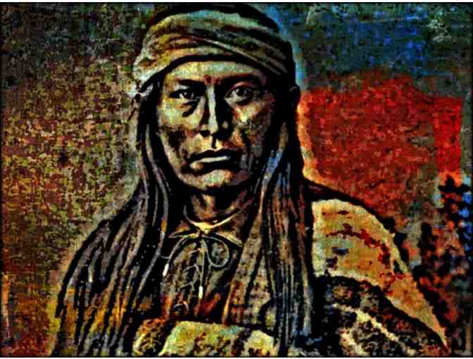 ! 2 SIDED ART DELUXE CUSHION CASE(S) +A3 GICLEE PRINT!: 'CHIEF COCHISE' BY WBK