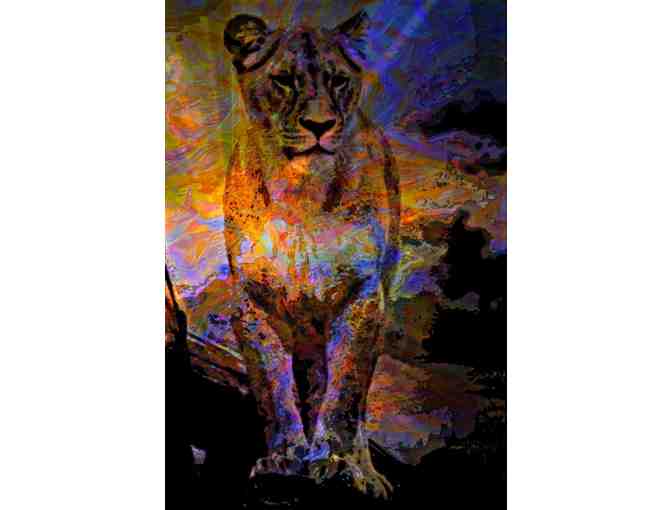 ! 2 SIDED ART DELUXE CUSHION CASE(S) +A3 GICLEE PRINT!: 'LIONESS ON THE MESA' BY WBK