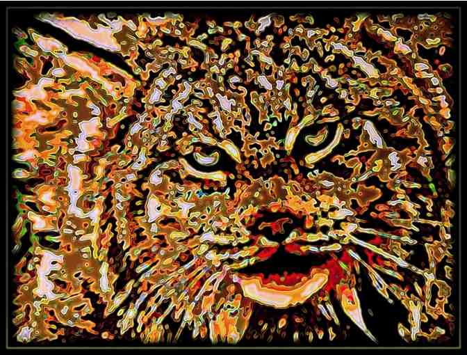 ! 2 SIDED ART DELUXE CUSHION CASE(S) +A3 GICLEE PRINT!: 'LYNX' BY WBK