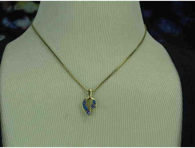 N5:  Inlaid Australian Opal and Tanzanite Horseshoe Pendant on 14 kt fine gold chain