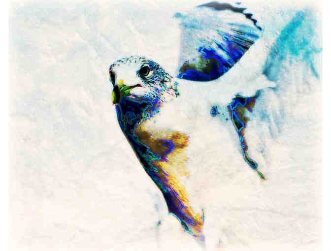 'I AM A DOVE WARRIOR' by WBK: Custom Framed Art Print: 40.25'x34.25'