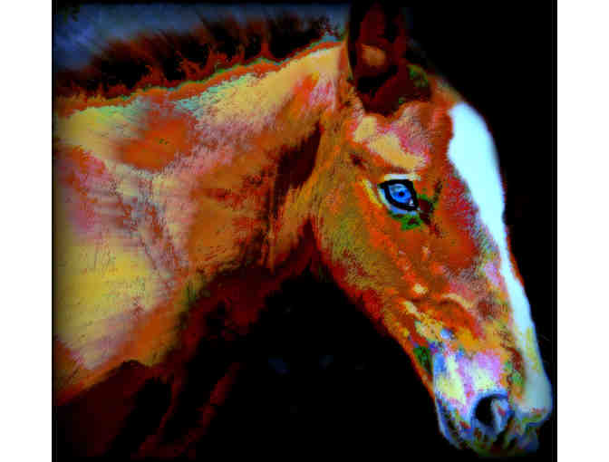 0-10: "Blue Eyed Filly" by WBK: Limited Edition, Museum Quality Print! 32.00" x 29.38" !! - Photo 1