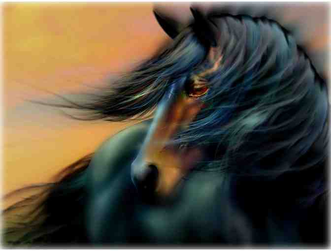 005: "Blue Mane" by WBK: Limited Edition Museum Quality Print! - Photo 1