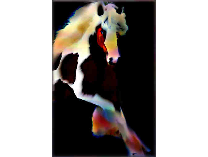006: "Dashing Beauty" by WBK: Limited Edition Museum Quality Print! - Photo 1