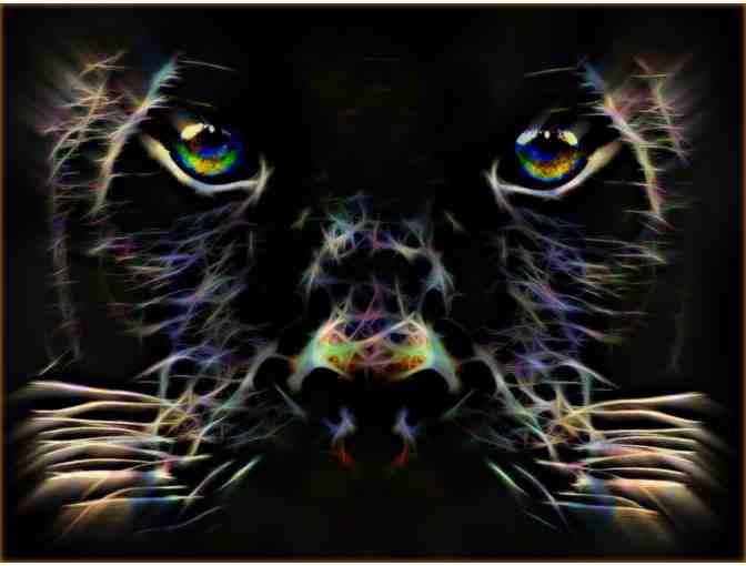 016: "Panther" by WBK: Limited Edition, Museum Quality Print! 32.00" x 24.50" !! - Photo 1