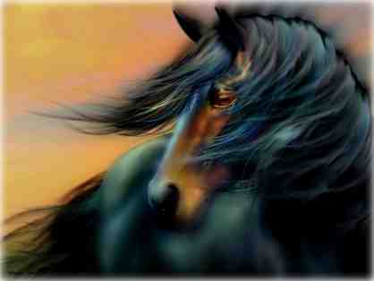 005: "Blue Mane" by WBK: Limited Edition Museum Quality Print!