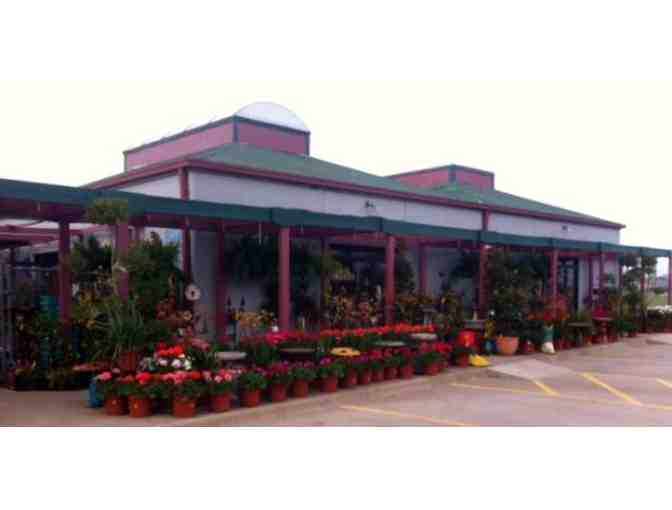 30 Gallon Tree - planted!