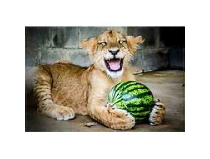 In-Sync Exotics Night Tour for up to Four (4) people