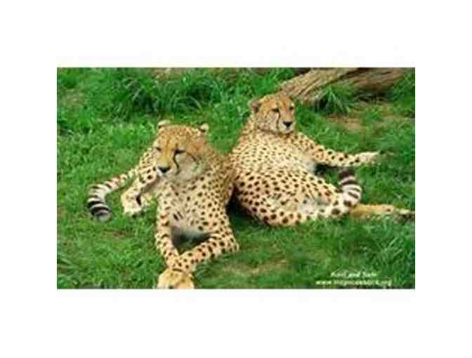 In-Sync Exotics Night Tour for up to Four (4) people