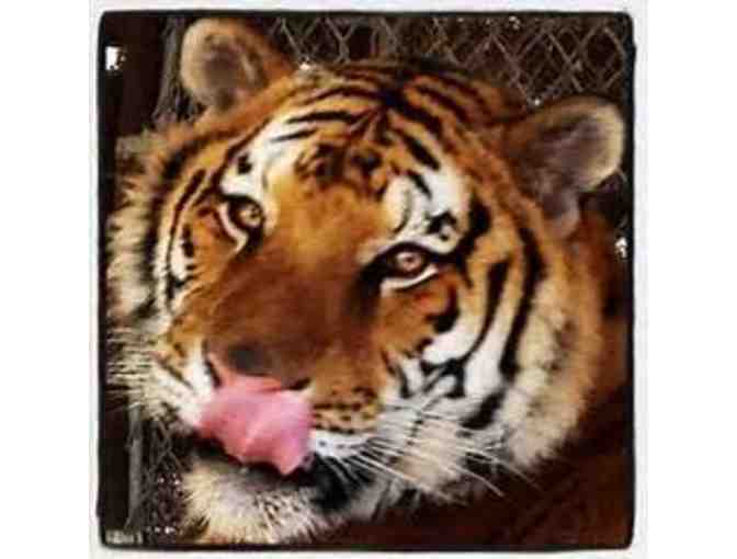 In-Sync Exotics Night Tour for up to Four (4) people