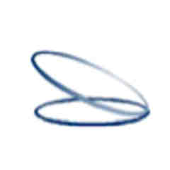 Allen Special Olympics Athletes and Friends