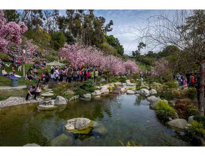 Relax in San Diego's Japanese Friendship Garden - Photo 1