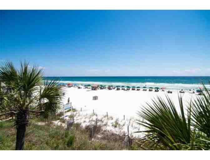 Panama City 7 day, 6 night stay in condo for 6