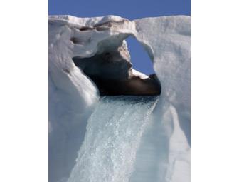 Gorgeous Set of 9 Photographs Matted and Ready for Framing